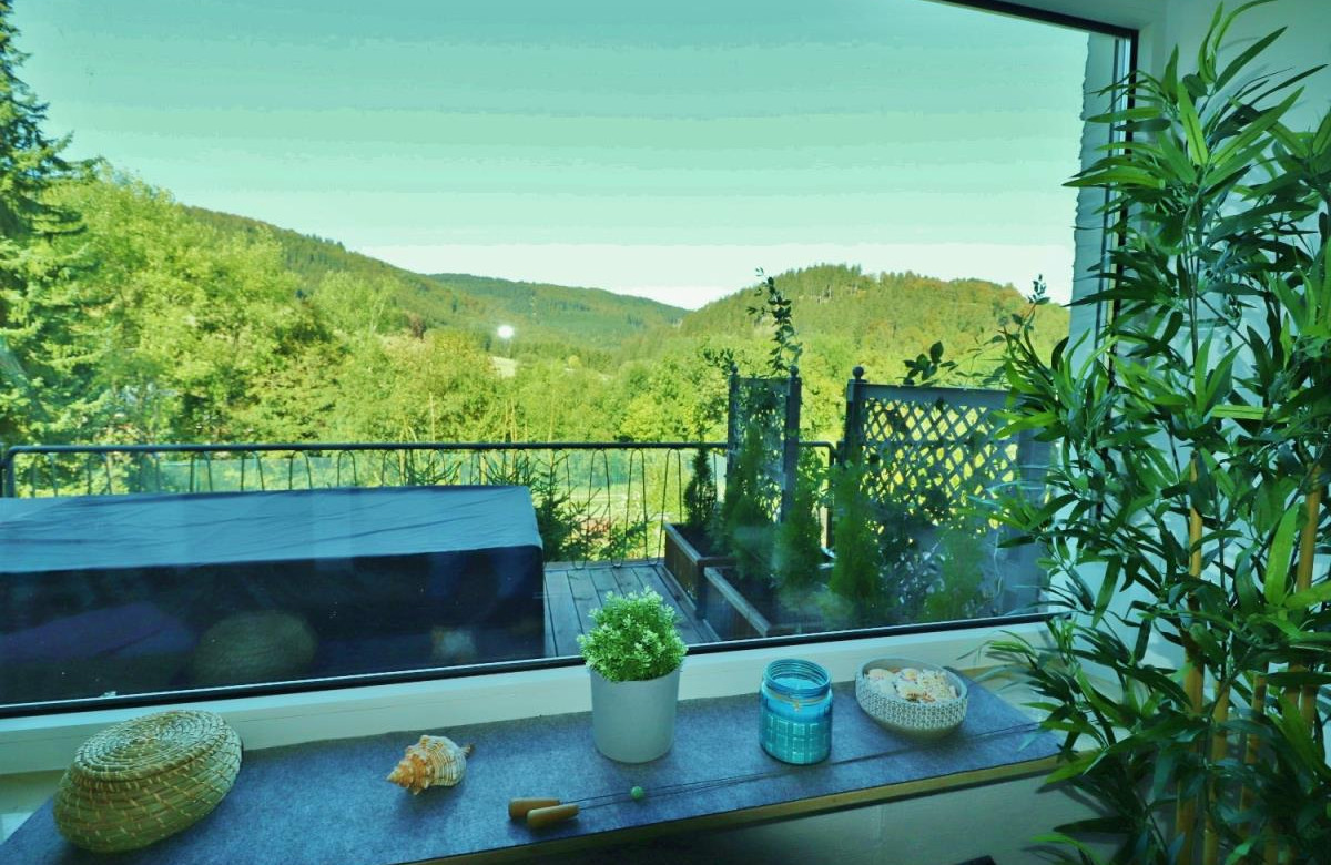 Aussicht - Fewo Haus Bellevue****