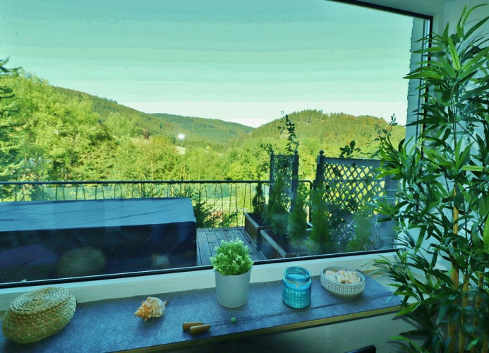 Aussicht - Fewo Haus Bellevue****
