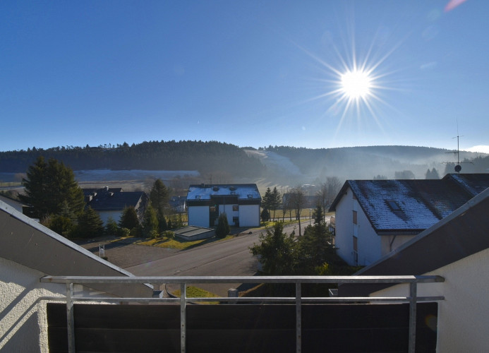 Fewo Blumes Bergfrieden - Aussicht vom Balkon