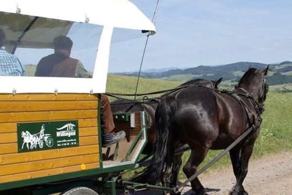 KUTSCH- PLANWAGEN- UND PFERDESCHLITTENFAHRTEN