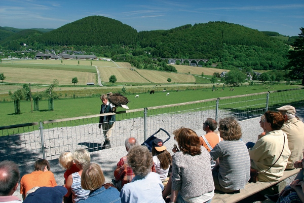 WILD & FREIZEITPARK AM ETTELSBERG WILLINGEN