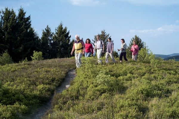 RUNDWANDERUNG ETTELSBERG & WILLINGEN