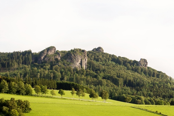 BRUCHHÄUSER STEINE