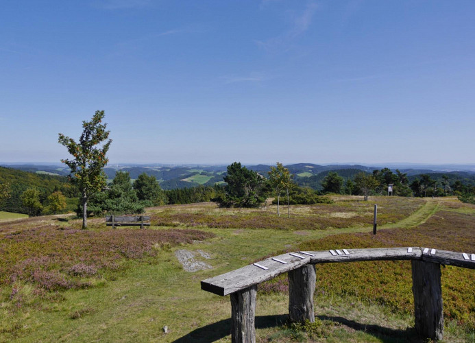 Usseln - Hochheide Osterkopf mit Fernsicht