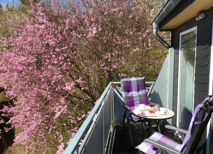 Fewo Bergzauber**** - Balkon für Zwei