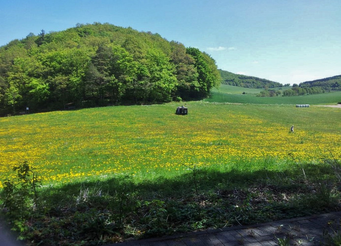 Haus Schönblick - Wiese vor der Terrasse
