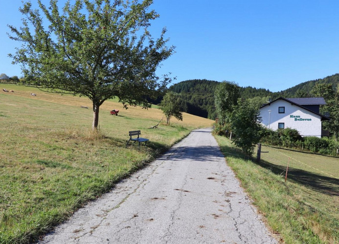 Haus Bellevue in herrlicher Natur und zentrumsnah (2,2km)