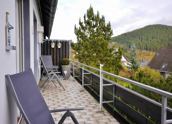 Fewo Ettelsberg-Panorama**** - Balkon nach links