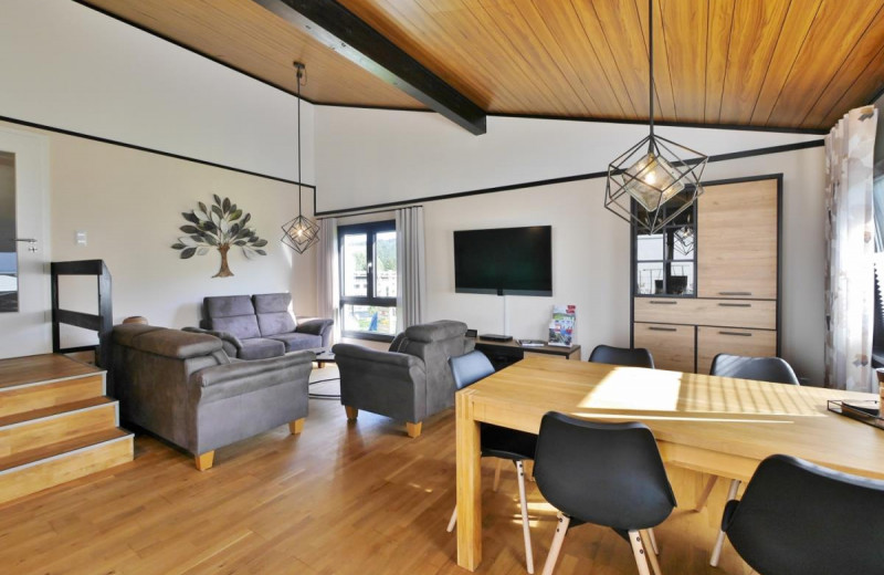 Wohnzimmer - Ferienhaus Diemelquelle****