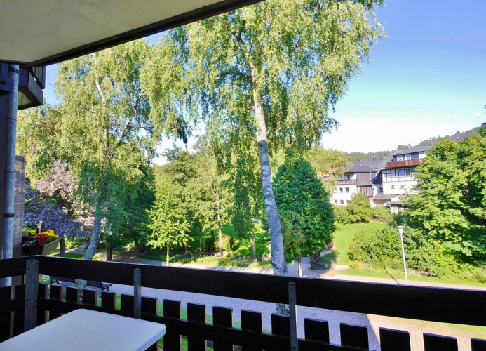 Fewo Nelly am Kurpark - Kurparkblick vom Balkon