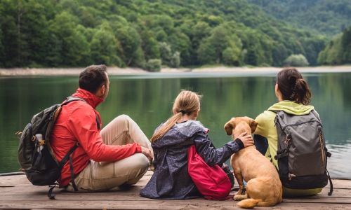 Wandern mit Hund im Sauerland