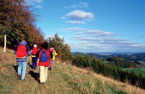 Wandergruppe am Uplandsteig Willingen im Sauerland